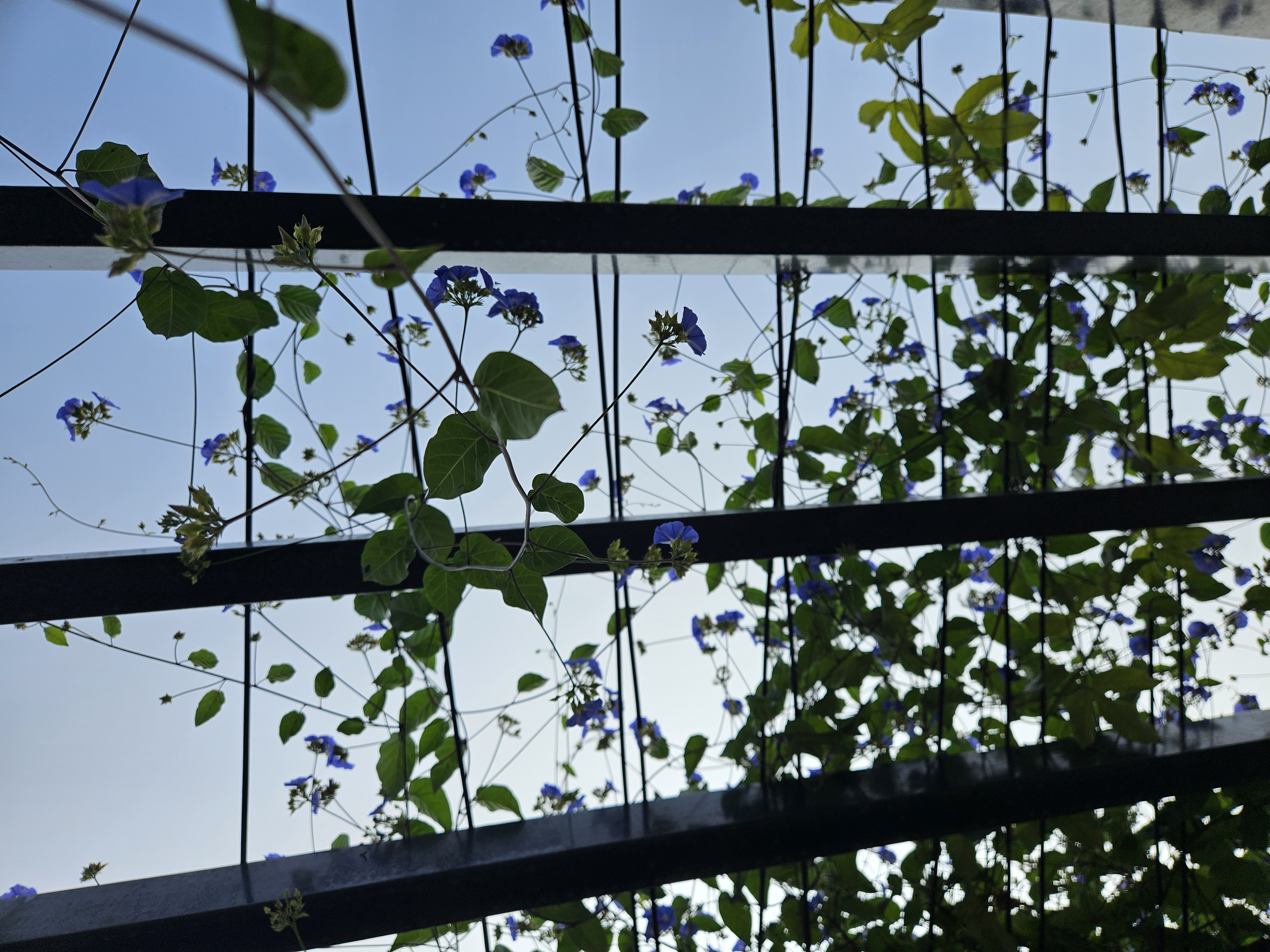 Chennoju Vinay Kumar